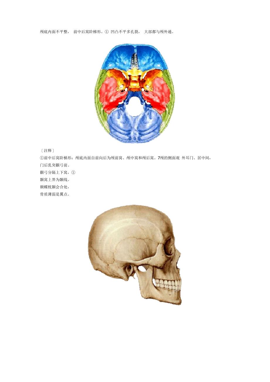 人体解剖学口诀歌_第4页