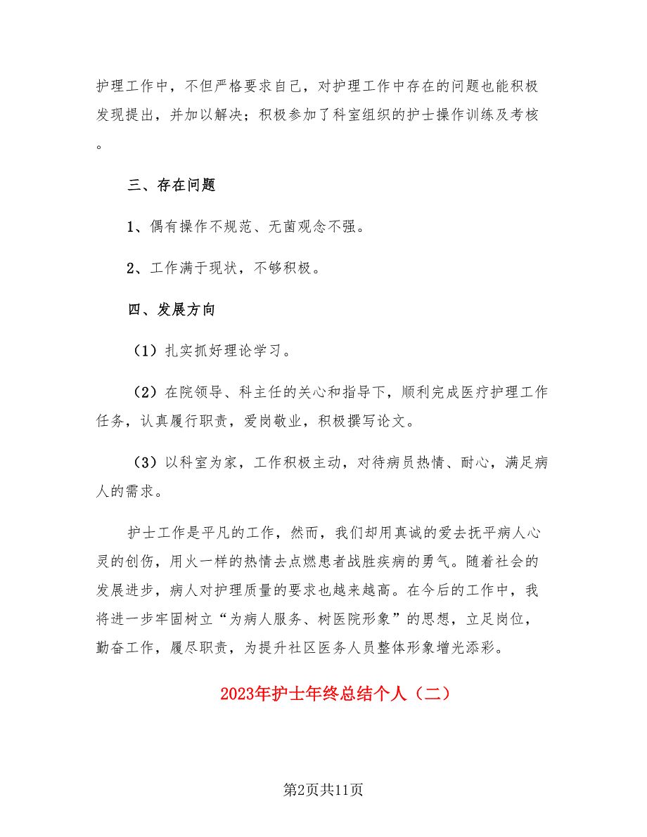 2023年护士年终总结个人_第2页