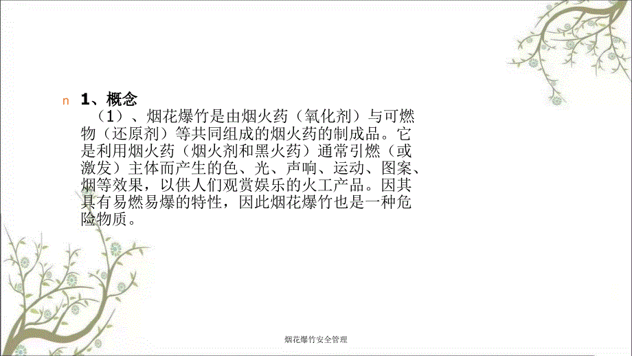 烟花爆竹安全管理PPT课件_第3页