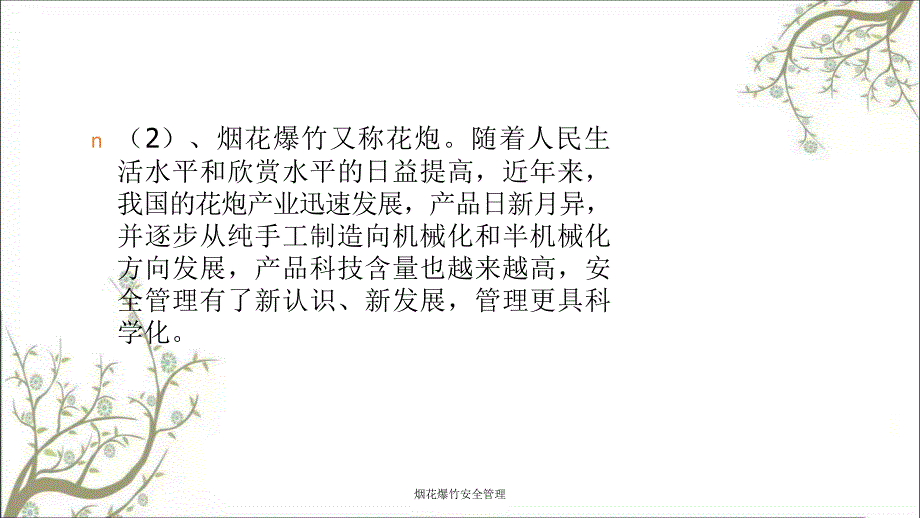 烟花爆竹安全管理PPT课件_第4页