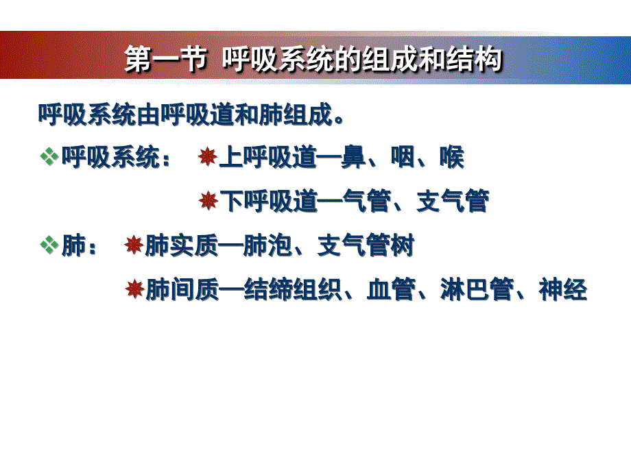 第七章-呼吸系统的结构与功能分解课件_第3页