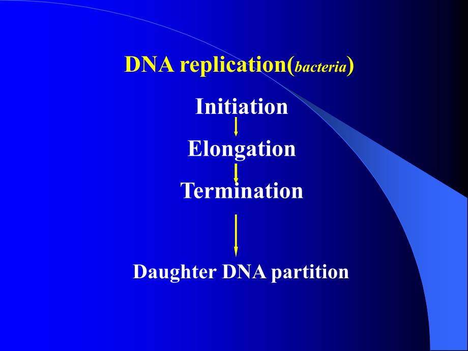 参与原核生物DNA复制的酶类和蛋白质EnzymesandProteins_第2页