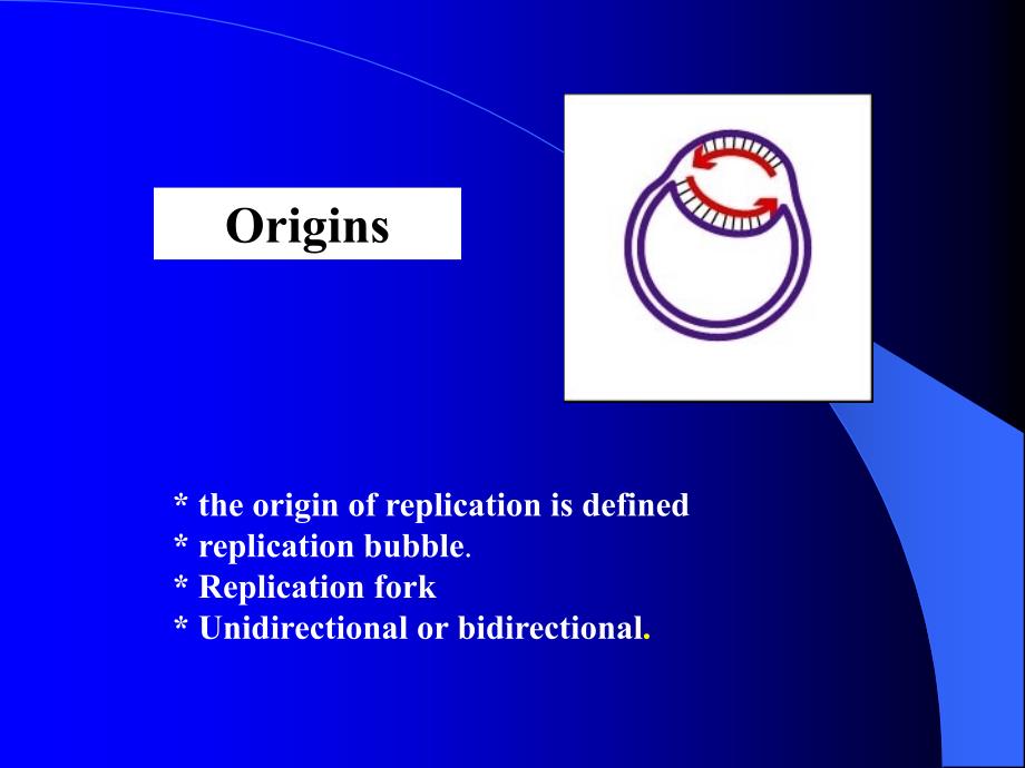 参与原核生物DNA复制的酶类和蛋白质EnzymesandProteins_第3页