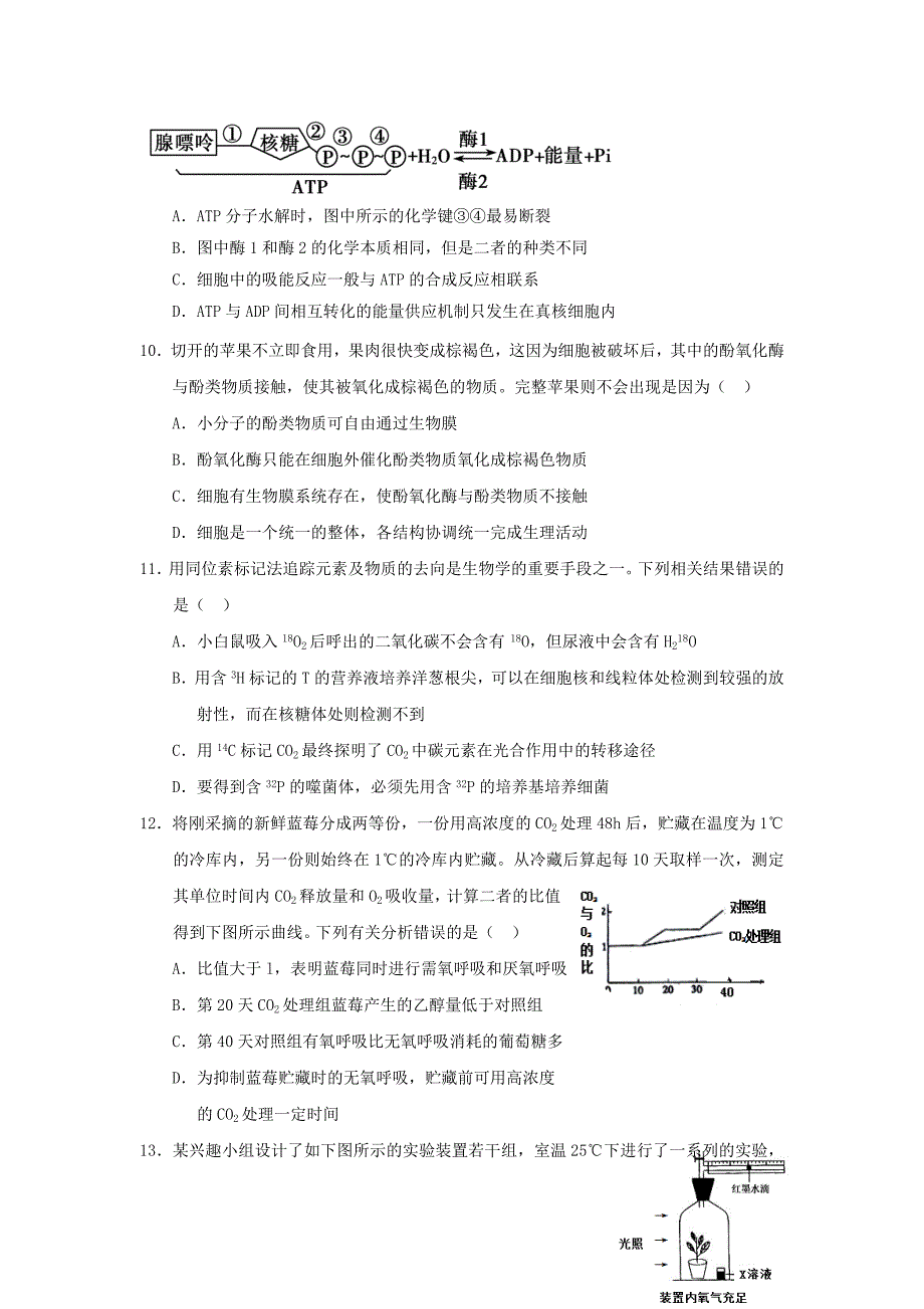 山东省单县第五中学2016届高三生物上学期第三次月考试题_第3页