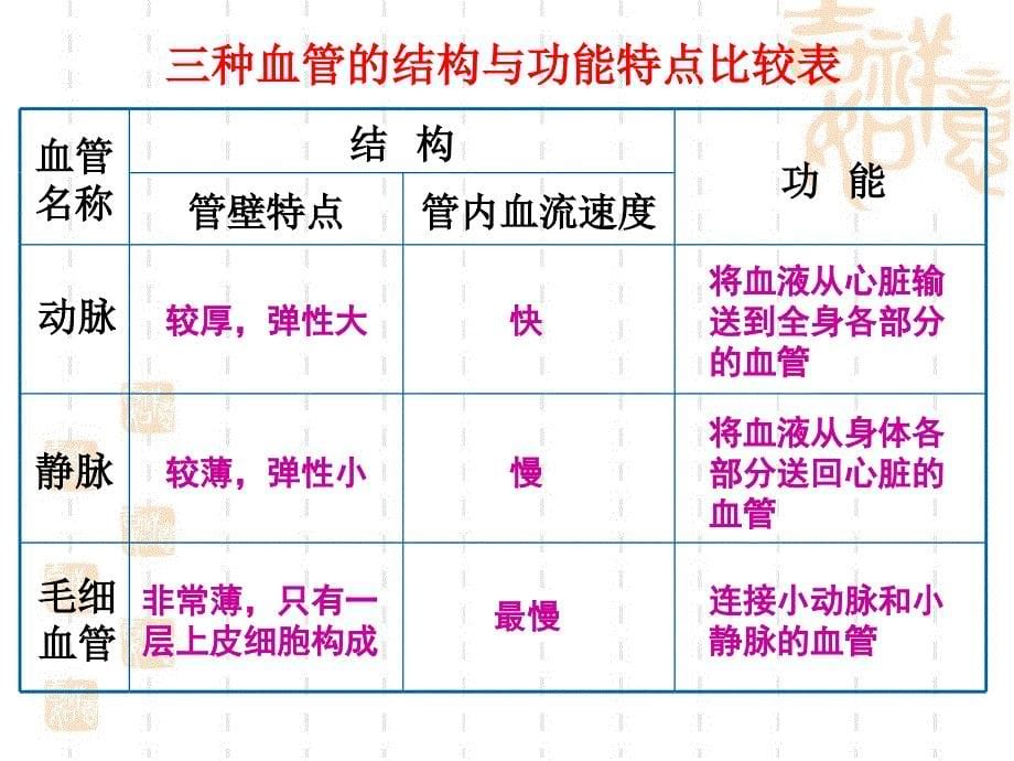 人体的血液循环教学课件1_第5页