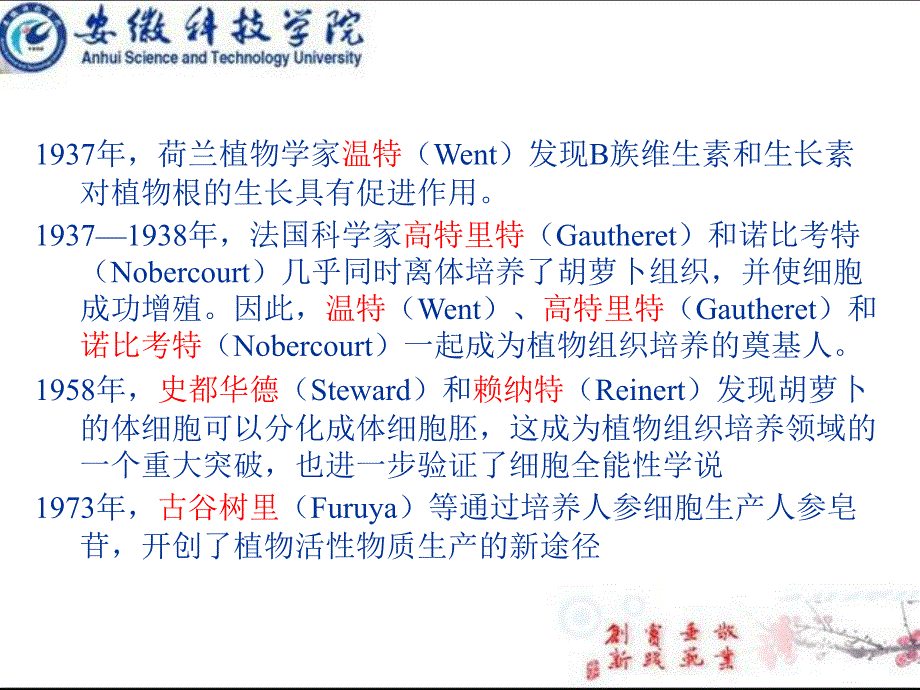 植物生物技术_第4页