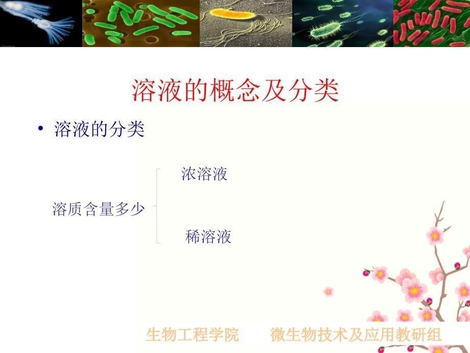 溶液的浓度的概念及表示方法_第5页