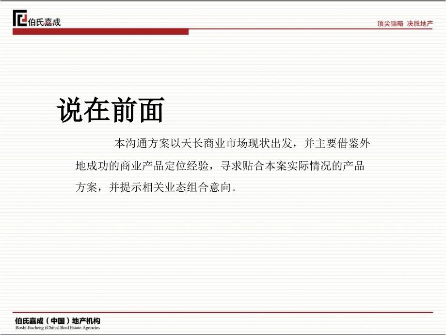 安徽天长某项目定位报告_第4页