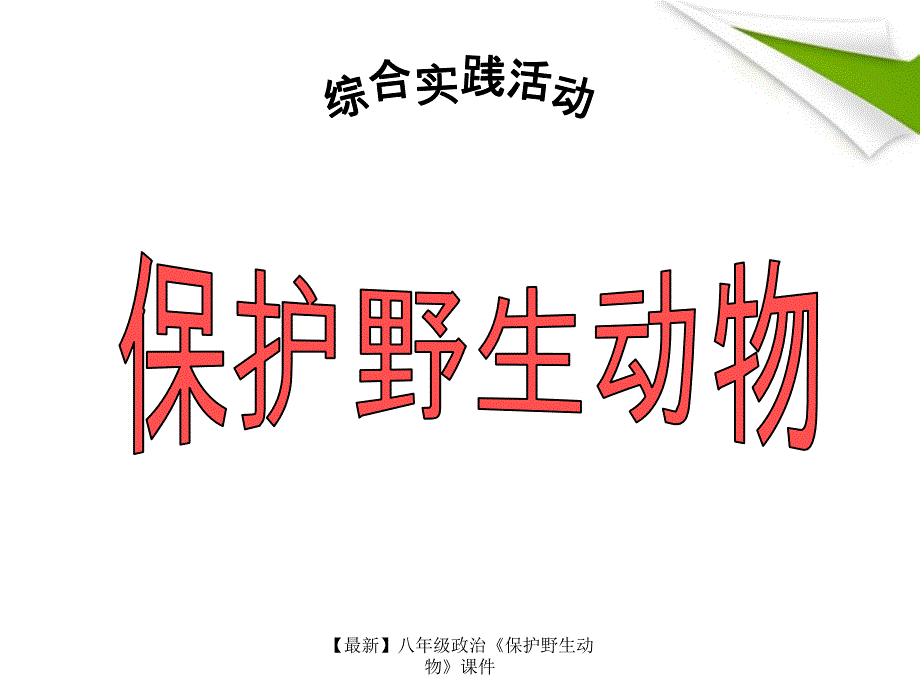 最新八年级政治保护野生动物课件_第1页