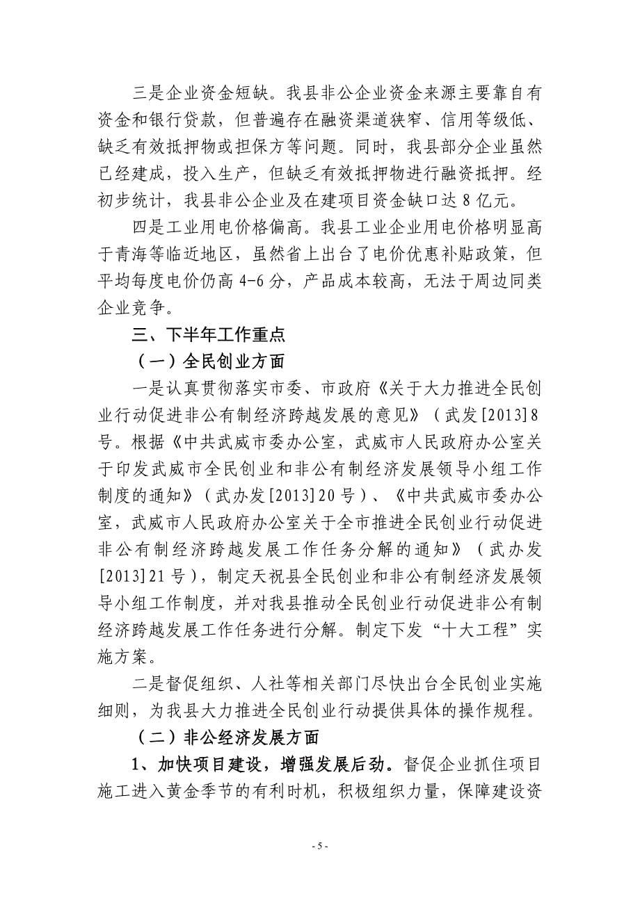 全民创业上半年工作总结.doc_第5页