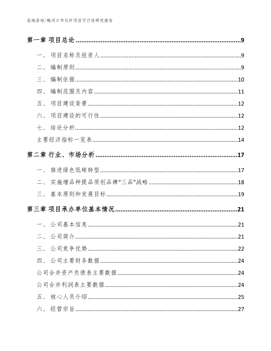 梅河口市化纤项目可行性研究报告（模板）_第3页