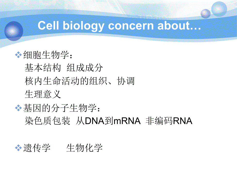 细胞核与染色质_第3页