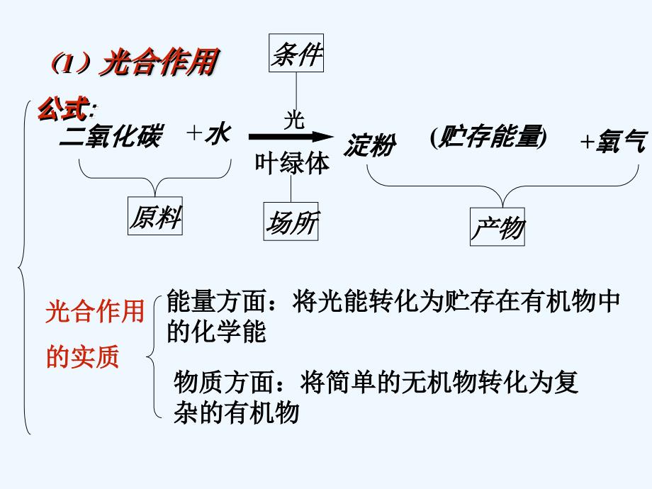 绿色植物的光合作用呼吸作用专题复习_第3页