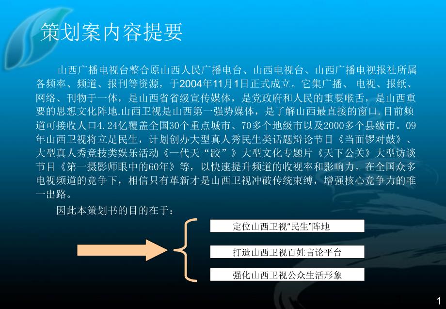 广告策划PPT天下民生策划书_第3页