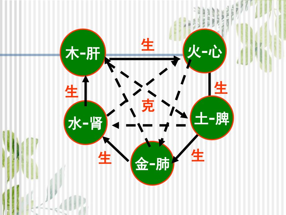 中兽医学-华南农大_第4页