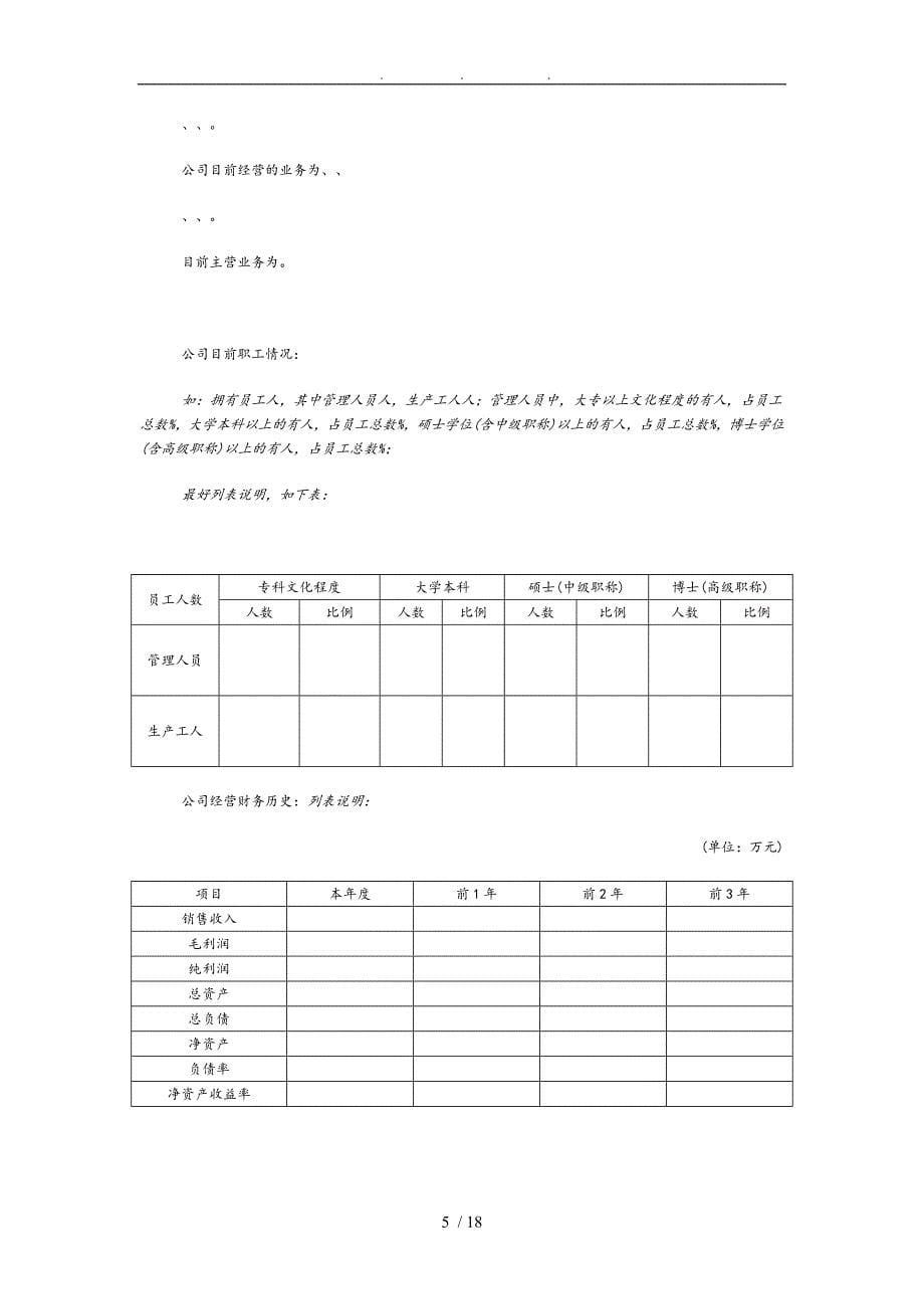 某某年风险投资商业实施计划书_第5页