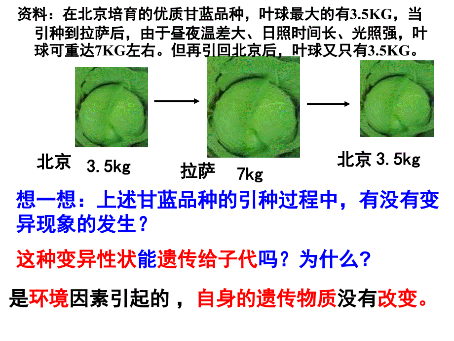 2021届高三一轮复习基础知识详讲ppt课件：11-基因突变和基因重组_第1页