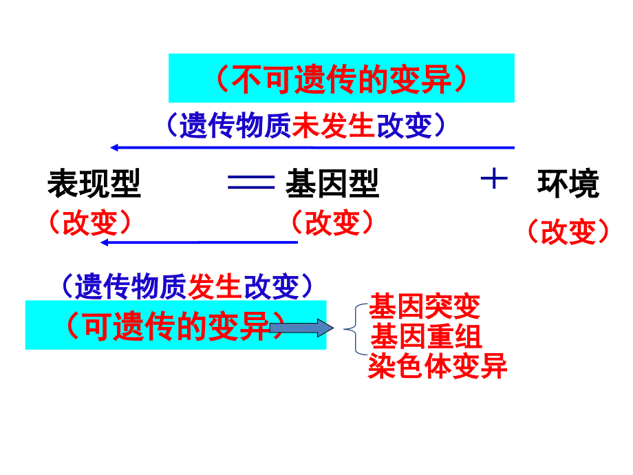 2021届高三一轮复习基础知识详讲ppt课件：11-基因突变和基因重组_第3页