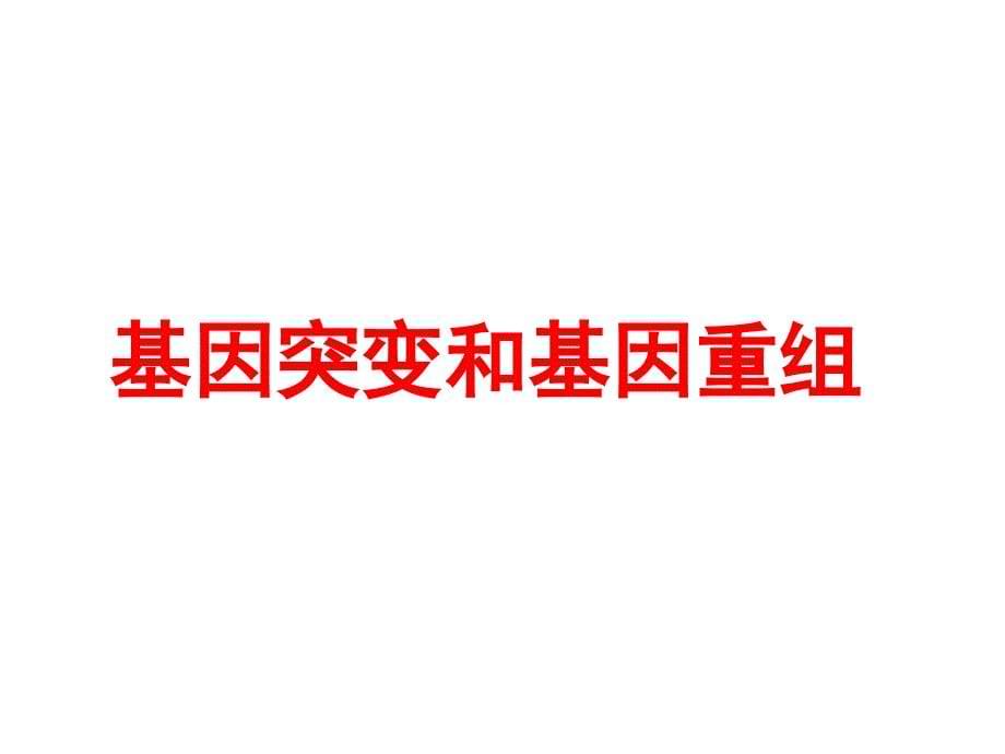 2021届高三一轮复习基础知识详讲ppt课件：11-基因突变和基因重组_第5页