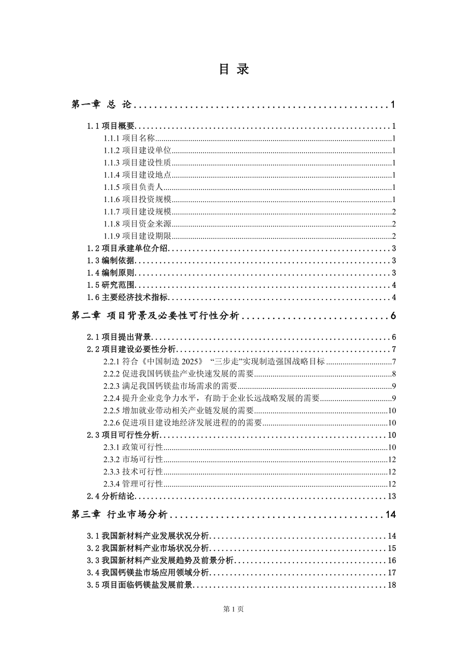 重点项目钙镁盐建设项目可行性研究报告申请立项备案可修改案例_第2页