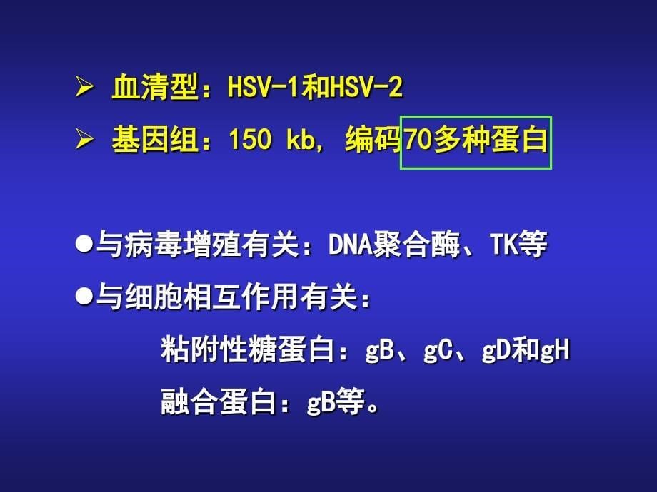 人疱疹病毒HumanherpesvirusesHHV_第5页