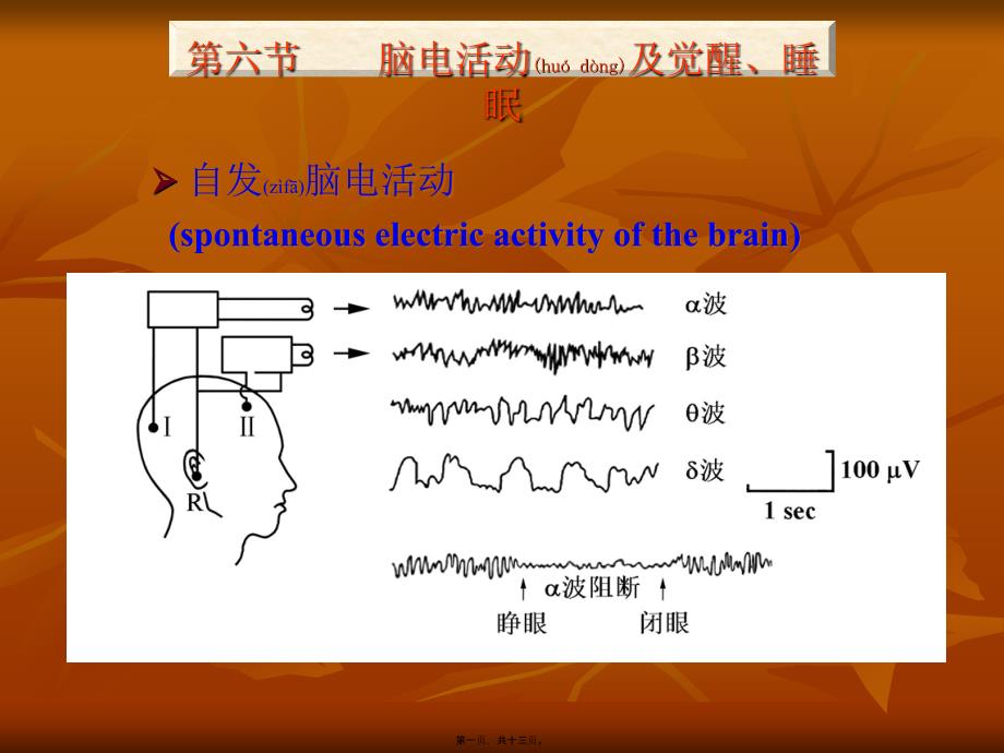 医学专题—神经系统77大全_第1页