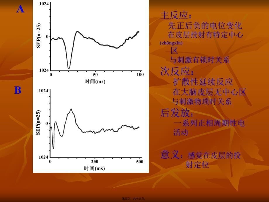 医学专题—神经系统77大全_第5页