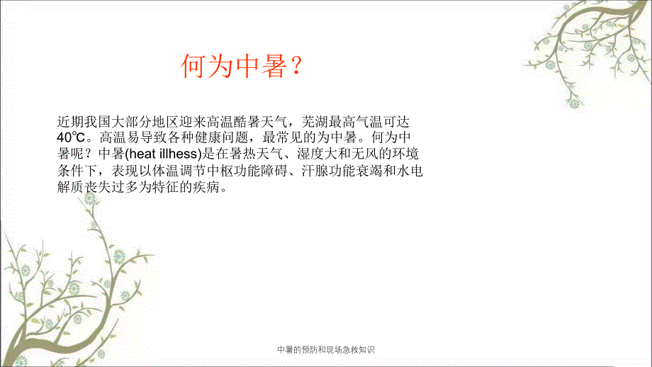 中暑的预防和现场急救知识_第3页