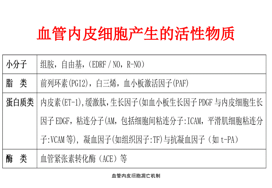 血管内皮细胞凋亡机制_第4页