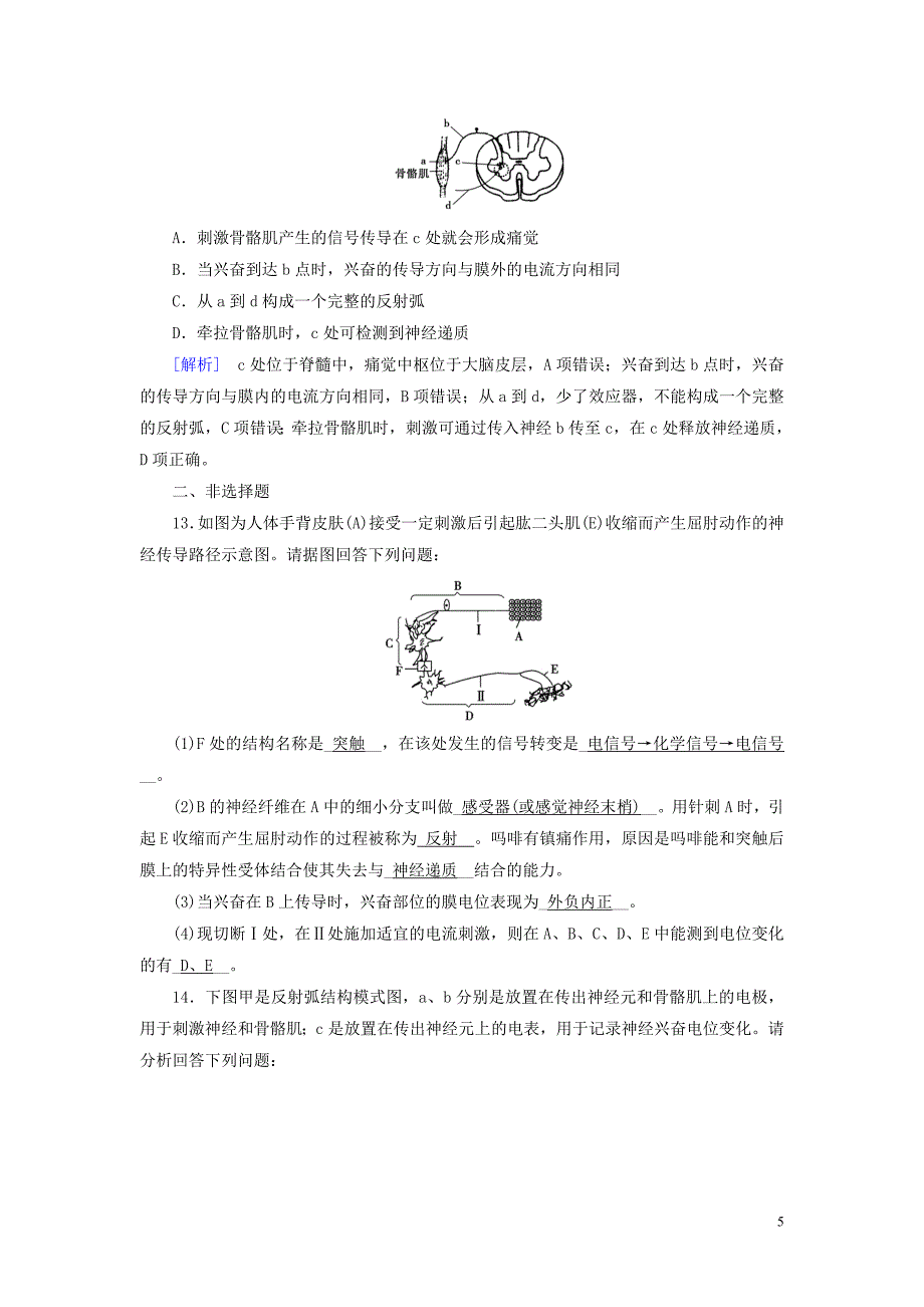 2020高中生物第二章动物与人体生命活动的调节第1节通过神经系统的调节精练含解析新人教版必修3.doc_第5页