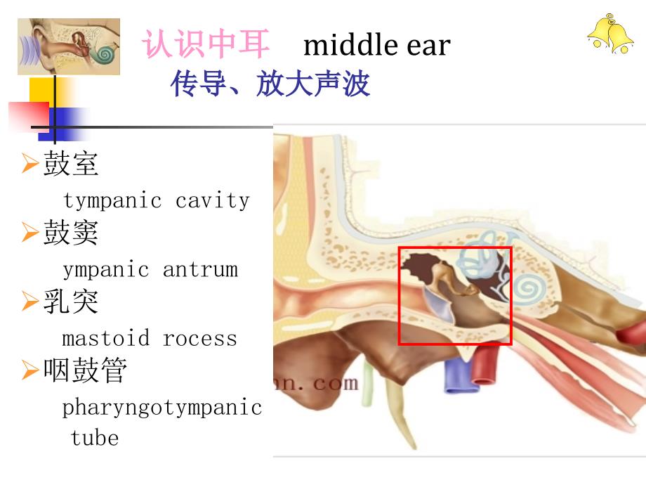 慢性中耳病变诊治策略课件_第3页