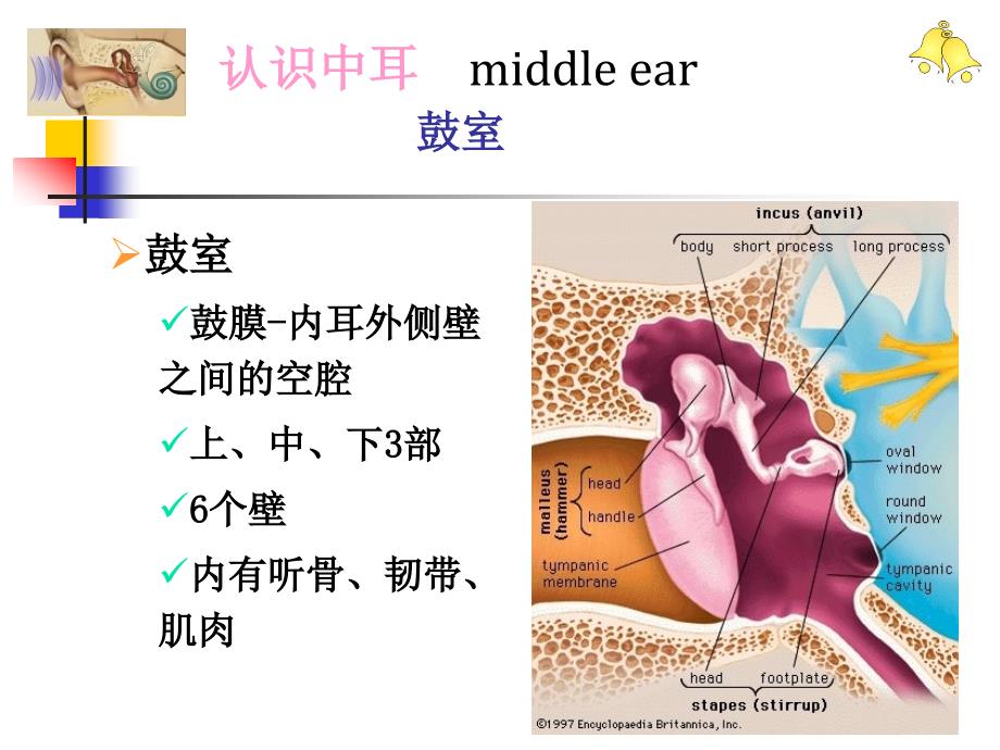 慢性中耳病变诊治策略课件_第4页