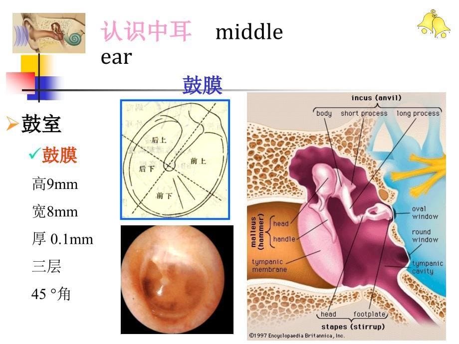 慢性中耳病变诊治策略课件_第5页