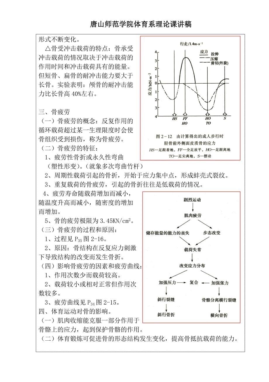 运动生物力学讲稿第二章_第5页