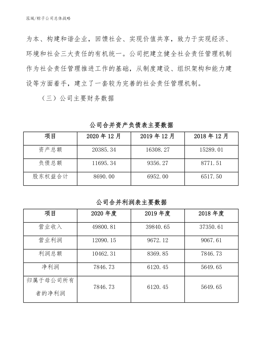 粽子公司总体战略_第4页