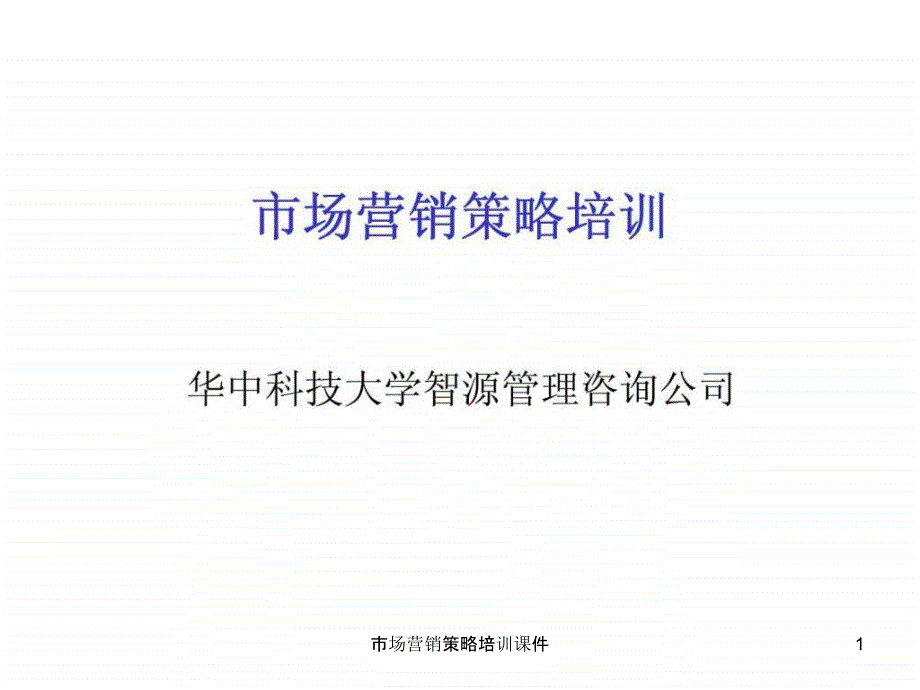 市场营销策略培训课件_第1页