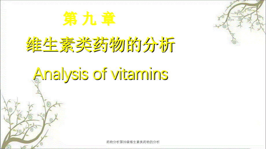 药物分析第09章维生素类药物的分析_第1页