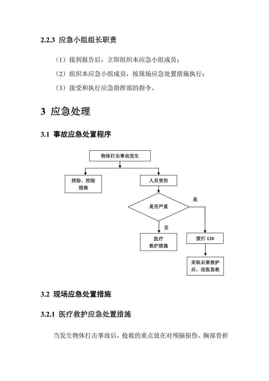 物体打击现场处置方案_第5页