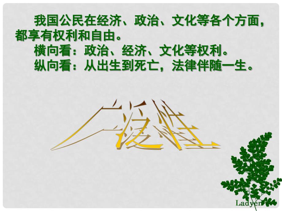 广东省汕头市八年级政治下册 第一单元 权利义务伴我行 第一课 国家的主人 广泛的权利 第2框 我们享有广泛的权利课件 新人教版_第4页