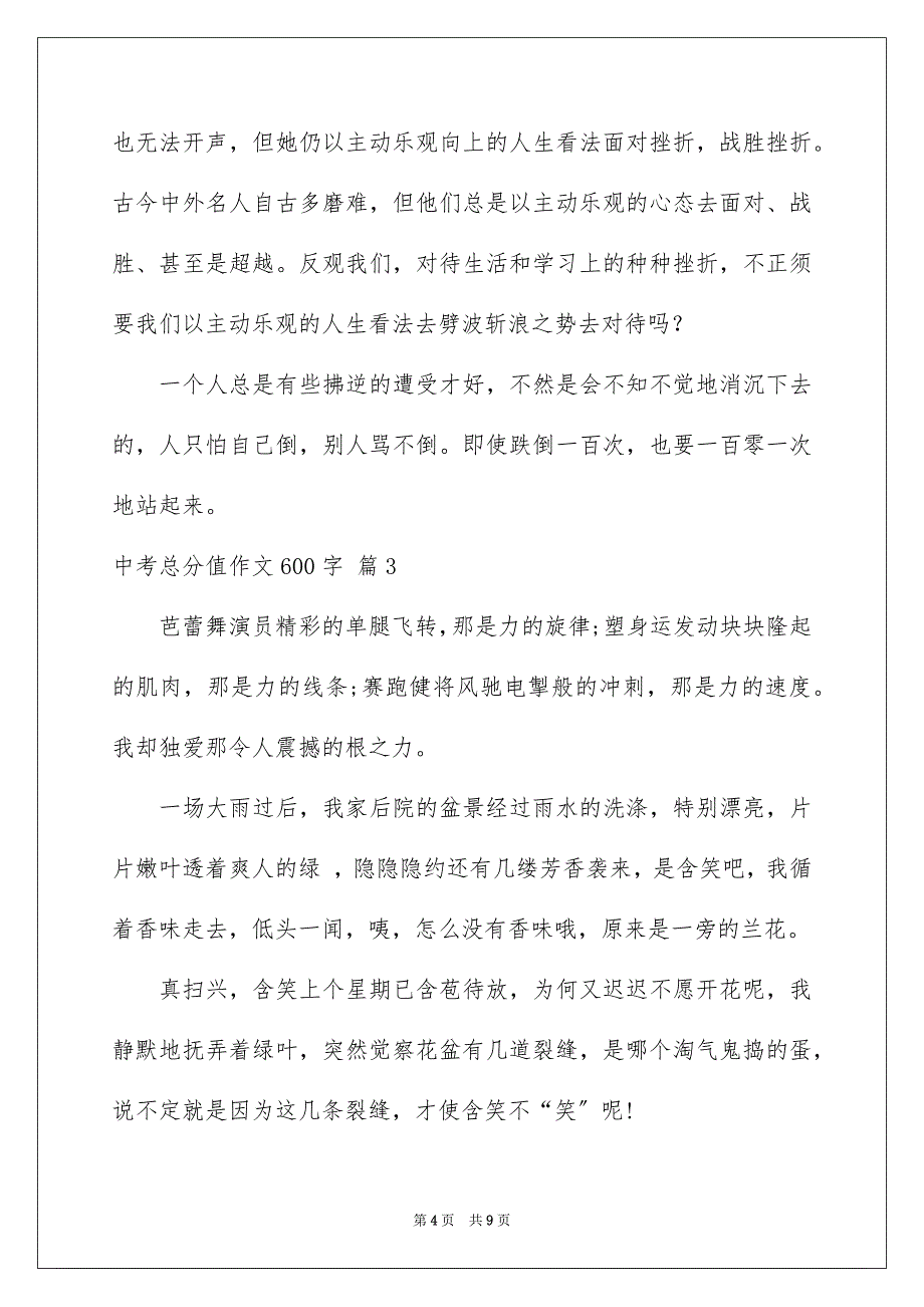 2023年中考满分作文600字100.docx_第4页