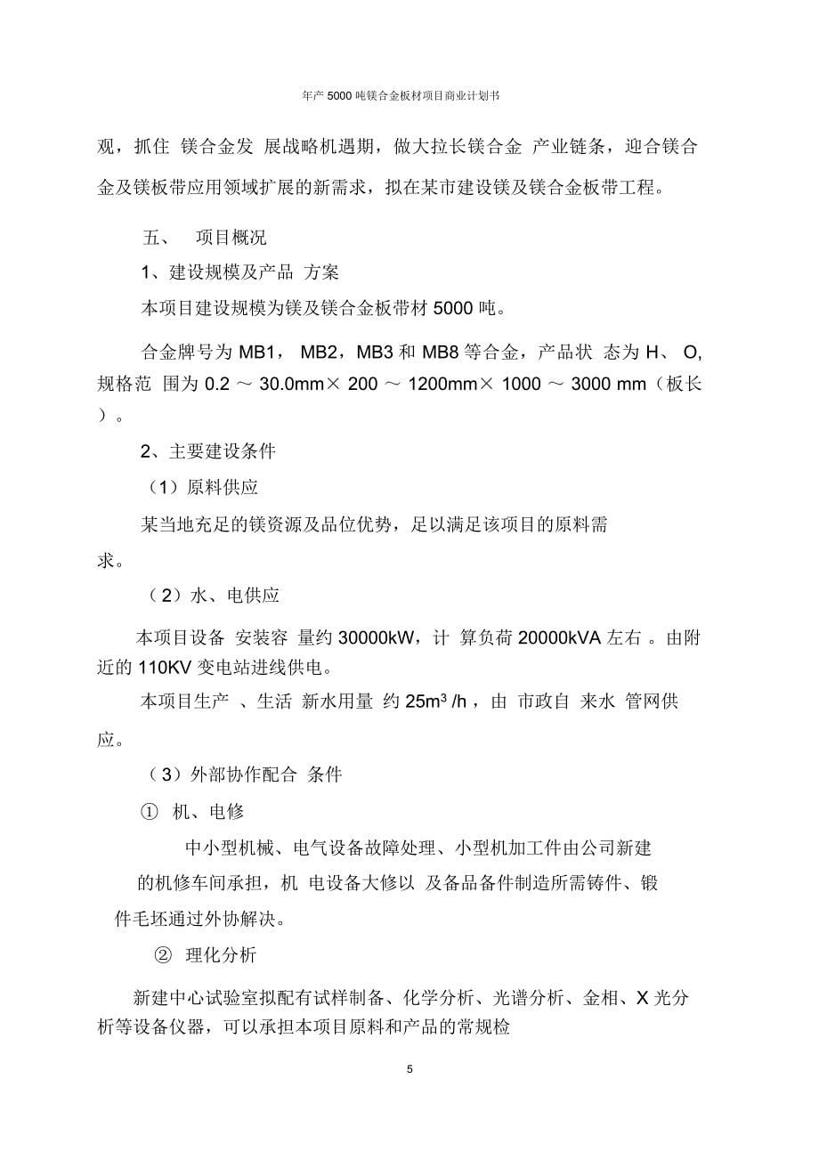 年产5000吨镁合金板材项目商业计划书_第5页