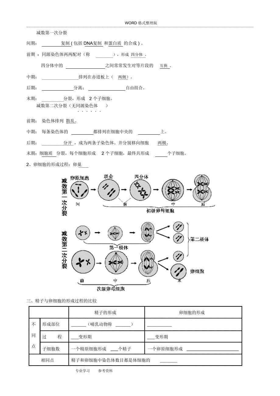 高中生物必修二知识点填空[最详版](DOC 21页)_第5页