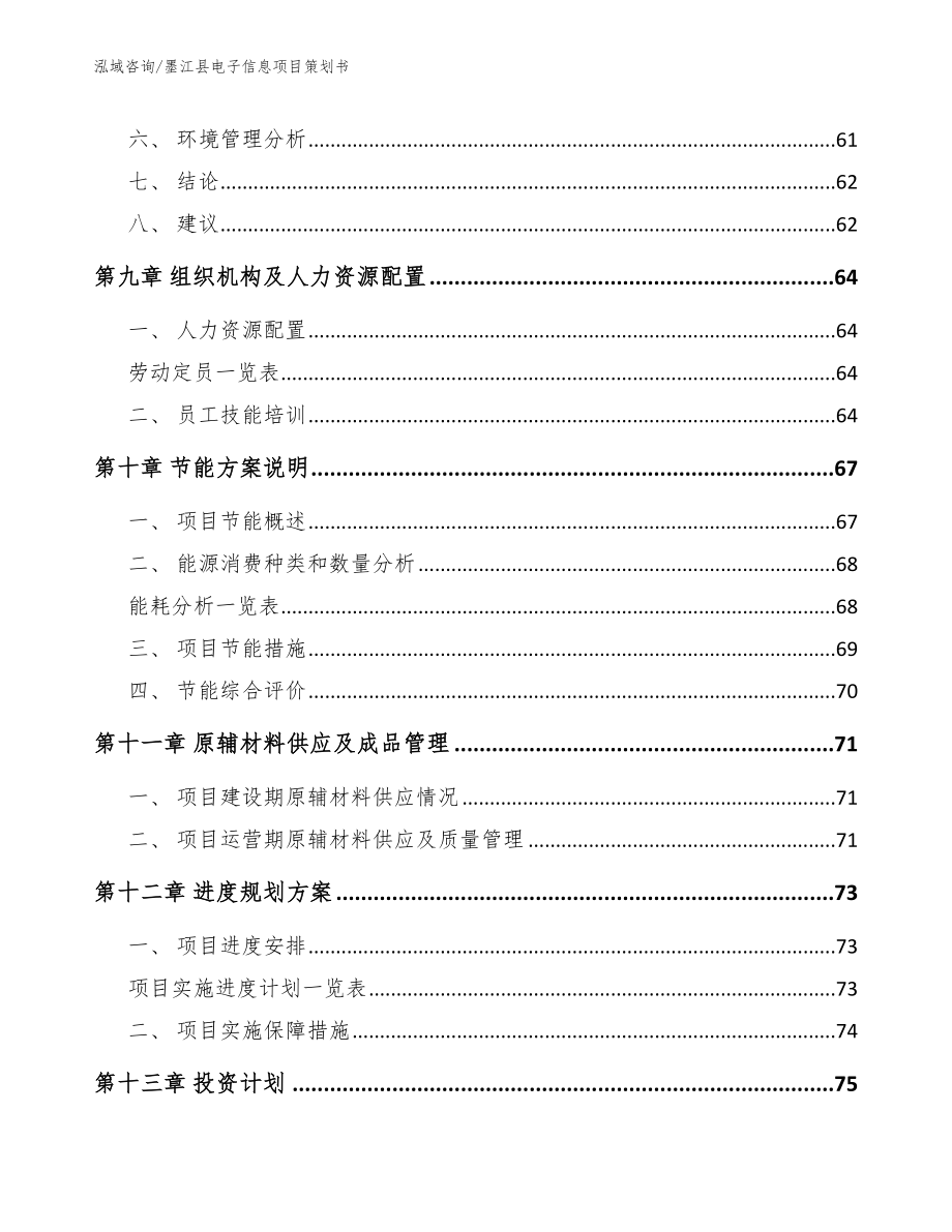墨江县电子信息项目策划书_第4页