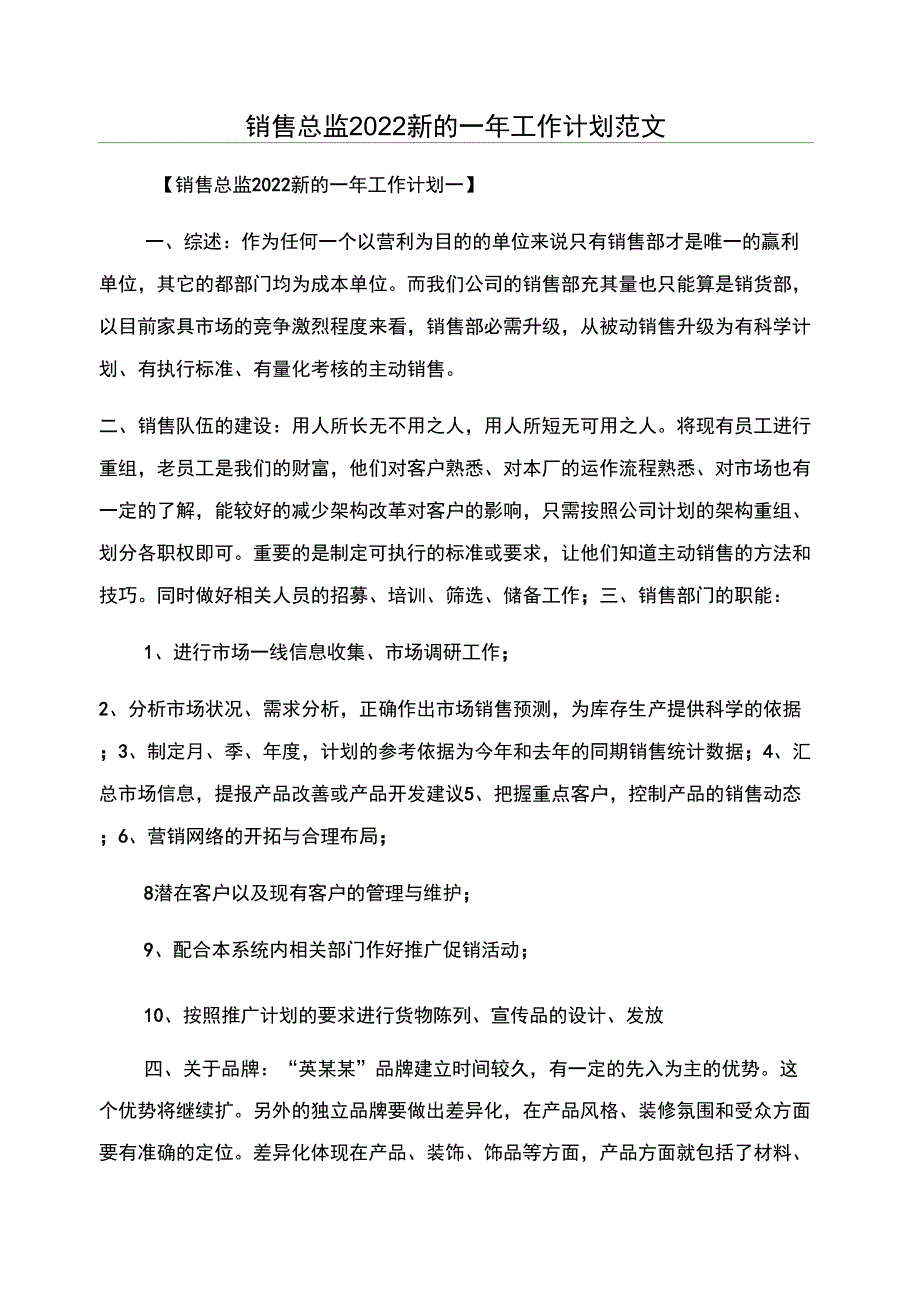 销售总监2022新的一年工作计划范文_第1页