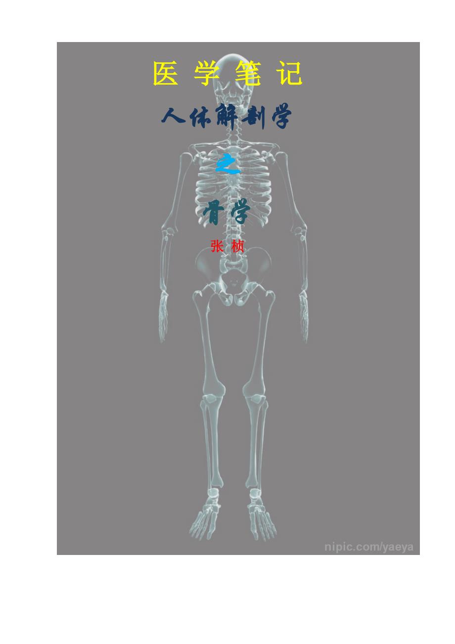 医学笔记：人体解剖学之骨学.doc_第1页