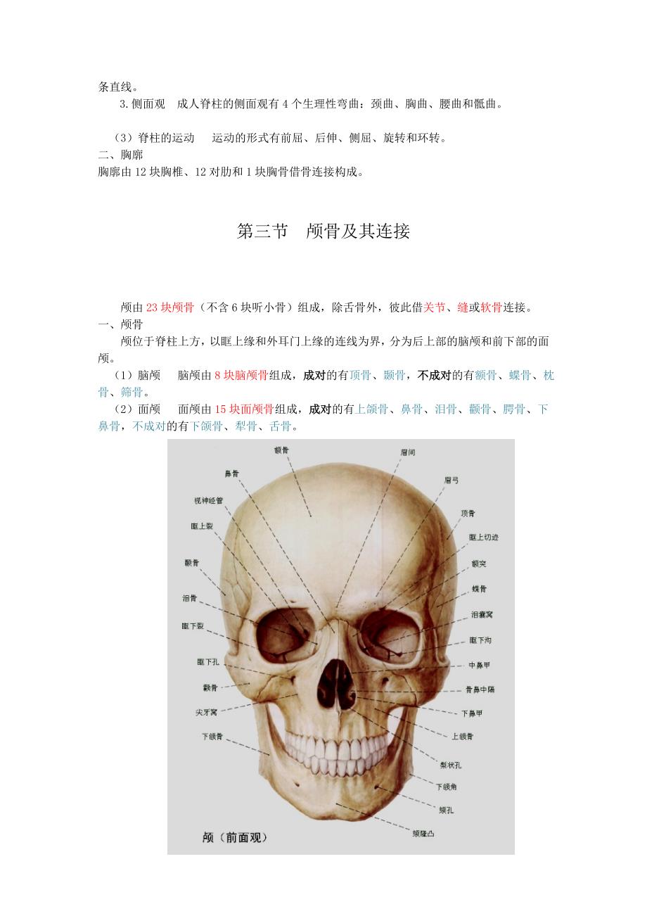 医学笔记：人体解剖学之骨学.doc_第4页