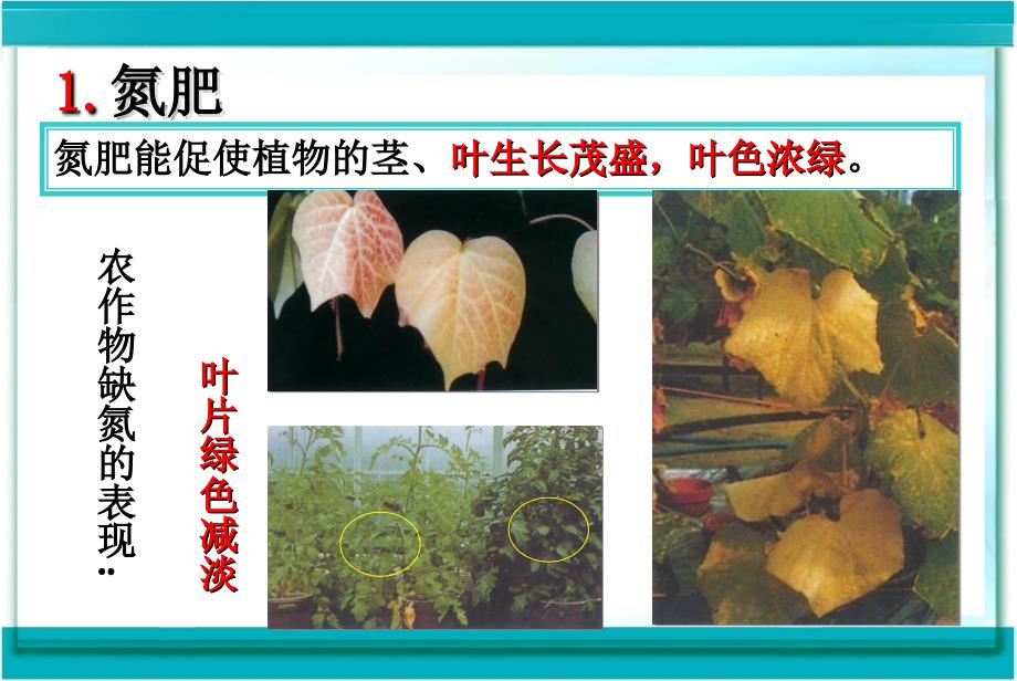 课题2化学肥料(新)精品教育_第3页