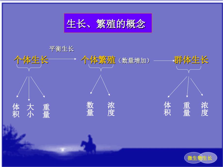 微生物课件微生物的生长_第3页