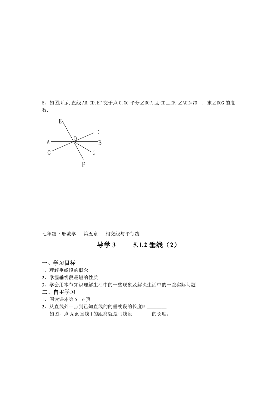 【人教版】七年级下册数学：全册导学案105页Word版_第5页