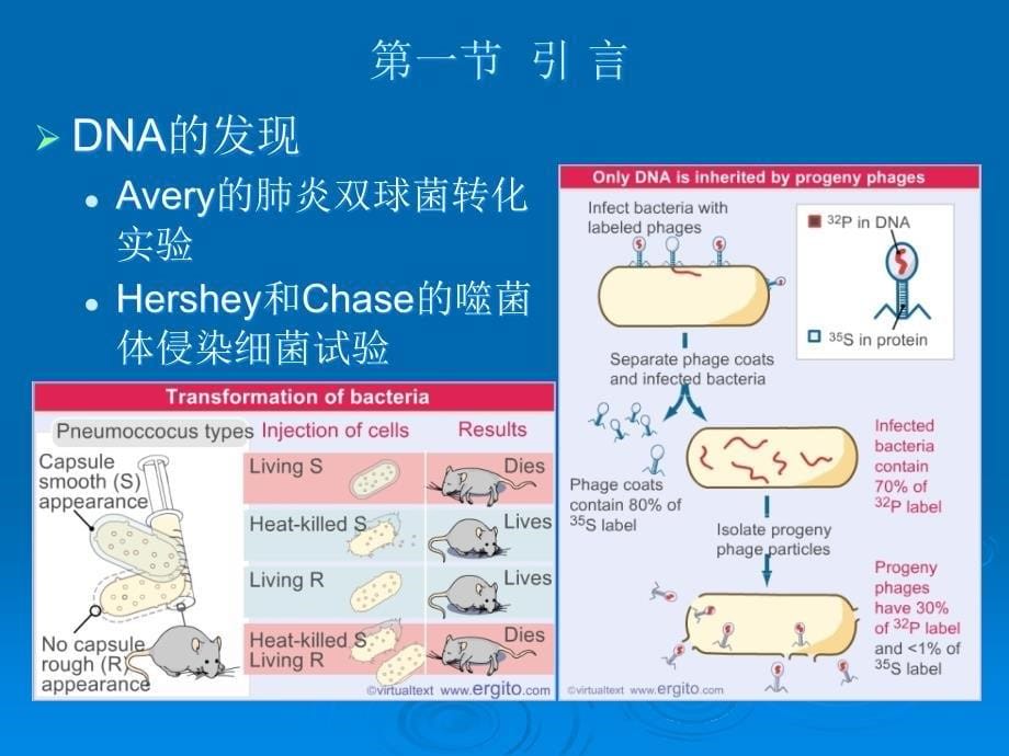 基因工程PPT课件第一章绪论_第5页